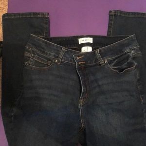 Lane Bryant High Rise Straight Jeans